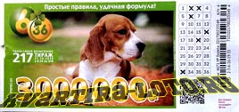 Проверить билет Лотерея 6 из 36 217 тираж (Нажмите, чтобы увеличить) Проверить билет Лотерея 6 из 36 217 тираж